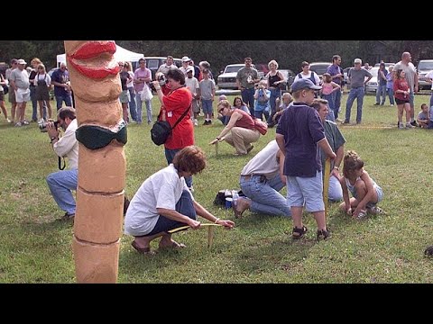 Wurm-Festival England – Teilnehmer beim Wurm-Festival in England locken Regenwürmer mit Stampfen und Vibrationen aus dem Bod…