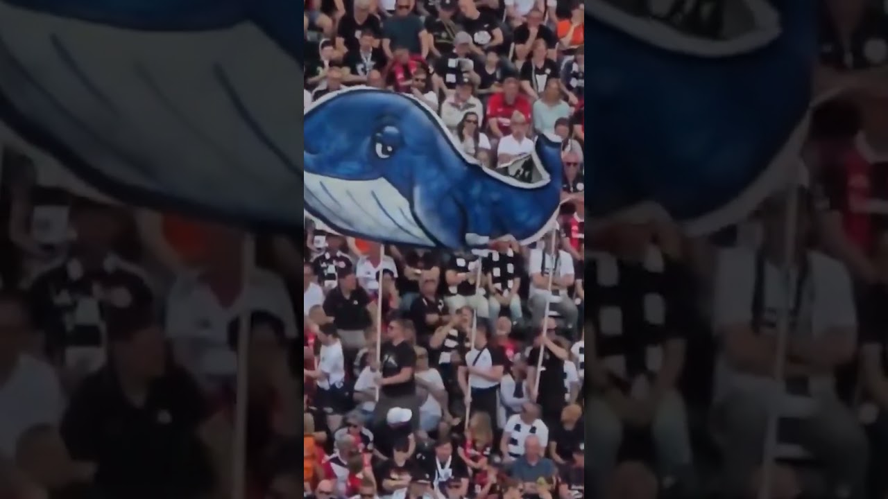 Eintracht-Frankfurt-Fans lassen Wal Timmy als Nachbildung durch die Fankurve im Frankfurter Stadion schwimmen