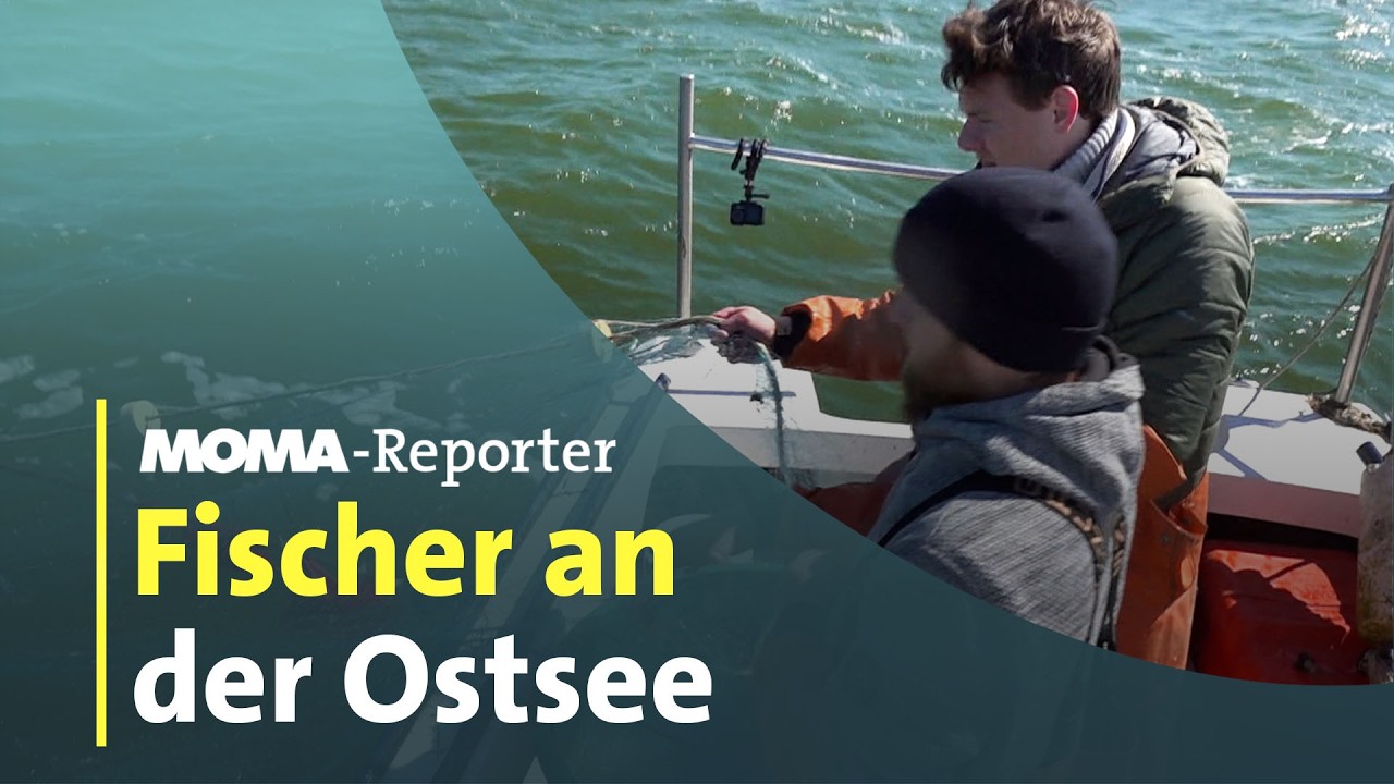 Ein Fischer holt auf der Ostsee bei Rügen Netze ein – ein Bild für die Krise der Ostseefischer