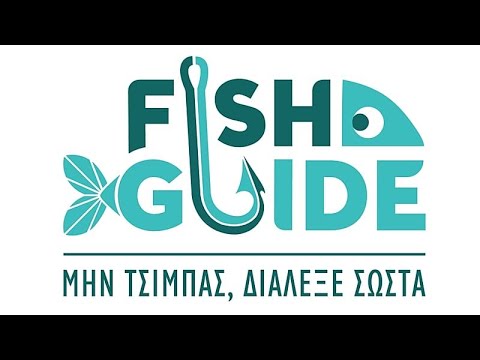 verantwortungsvoller Fischkonsum – Frische Fische auf einem griechischen Markt – Symbol für verantwortungsvollen Fischkonsum…