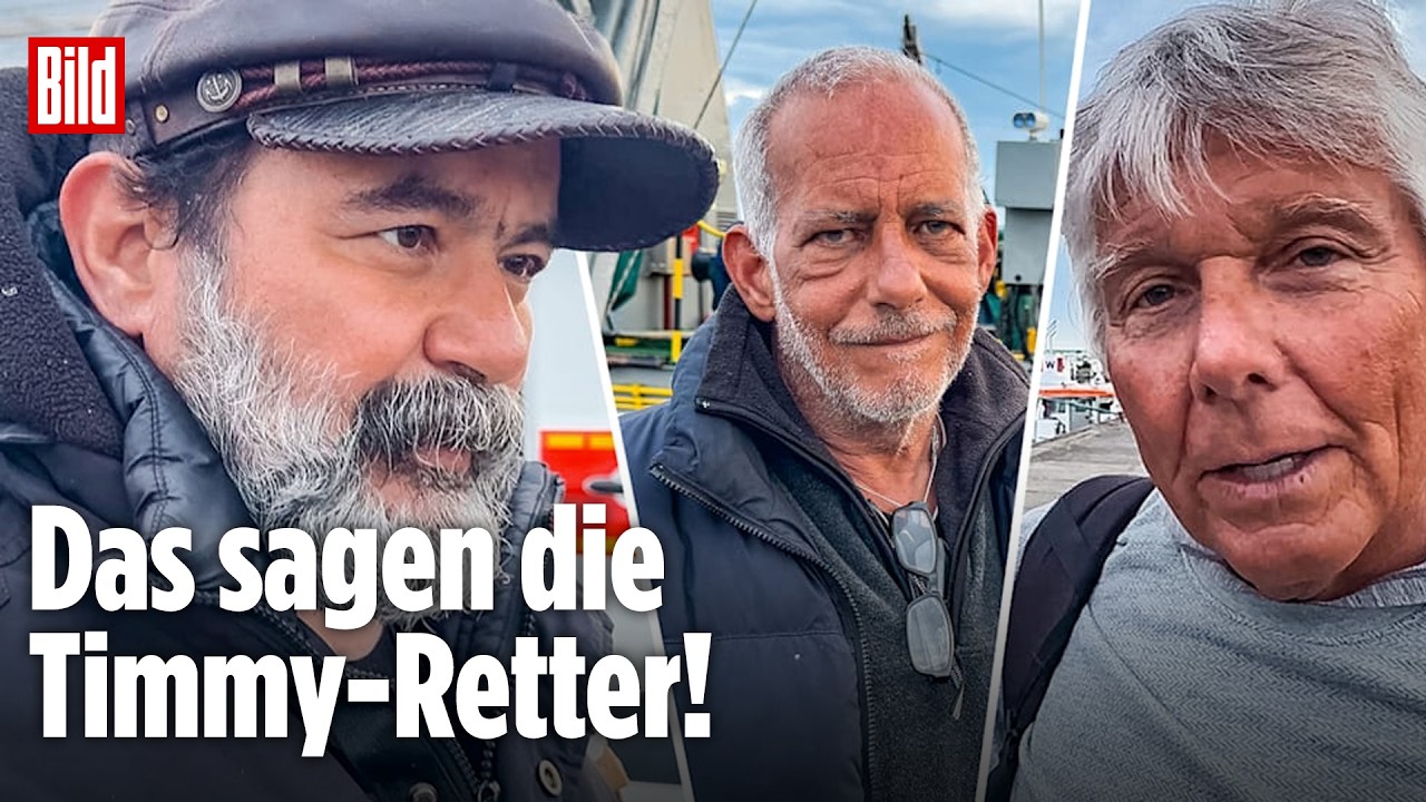 Wal Timmy wird ins offene Meer freigelassen, begleitet von Robben – emotionaler Moment der Wal-Rettung