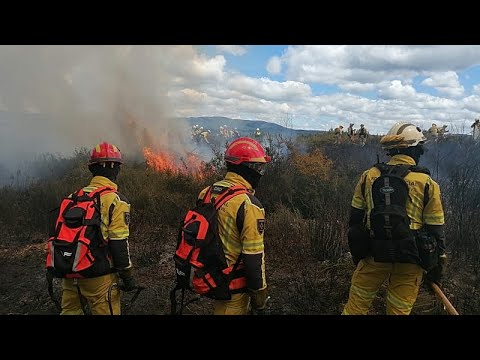 Waldbrand-Übung Portugal – Feuerwehreinsatzkräfte bei einer Waldbrand-Übung in Portugal mit Löschfahrzeugen im Einsatz