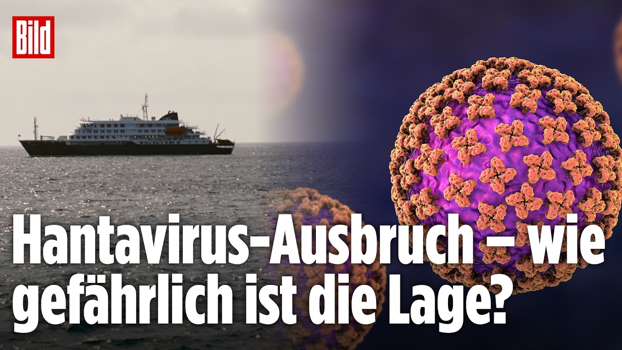 Mikroskopaufnahme des Hantavirus – Experte warnt vor Ausbruch auf Kreuzfahrtschiff