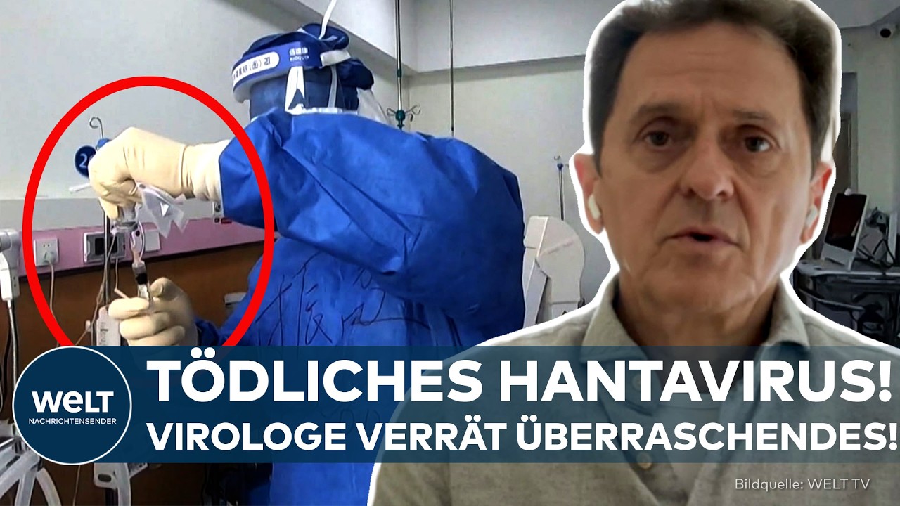 Kreuzfahrtschiff Hondius auf dem Meer – Hantavirus-Ausbruch an Bord alarmiert Gesundheitsbehörden