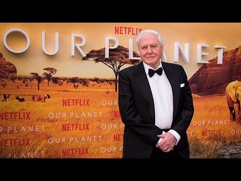 Sir David Attenborough feiert seinen 100. Geburtstag – Ikone der Naturdokumentation mit Berggorillas in Ruanda