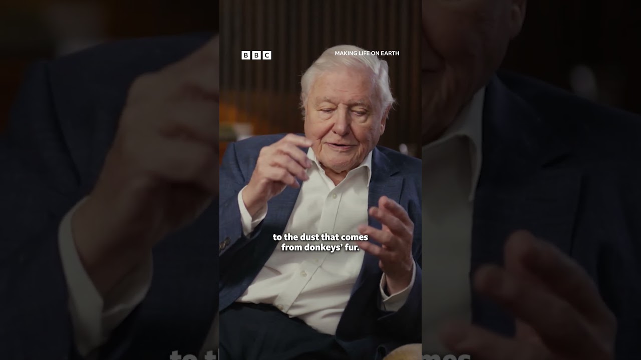 David Attenborough steht vor den Gesteinsschichten des Grand Canyon – Allergie beim Dreh im Canyon