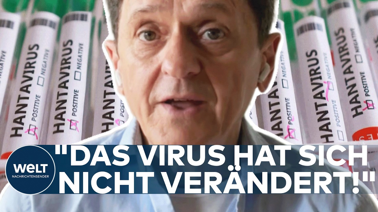 Virologe erklärt das Hantavirus-Risiko – Nahaufnahme einer Maus als Überträger des Hantavirus