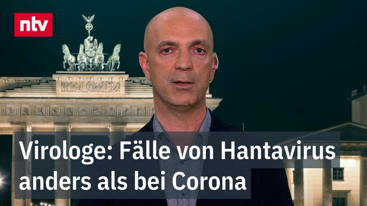 Virologe erklärt Hantavirus-Übertragungswege und Symptome im Interview – Schutz vor Ansteckung