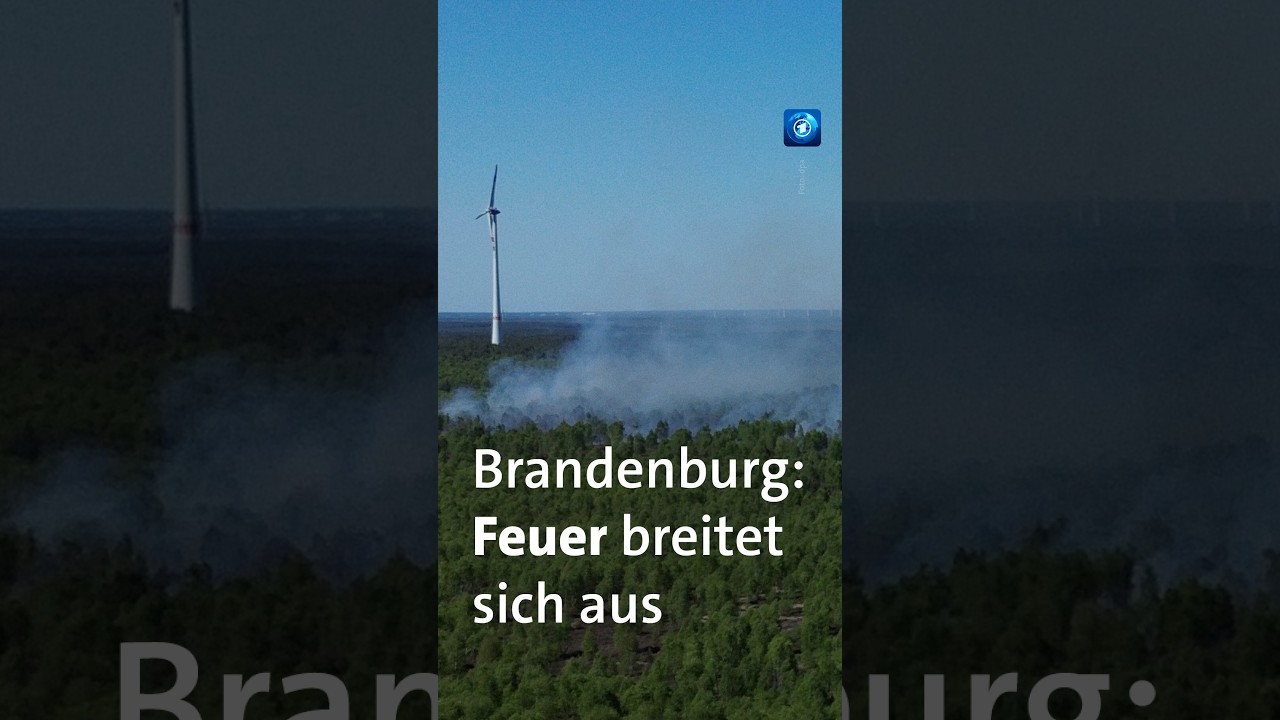 Rauchsäule über einem brennenden Wald beim Waldbrand Jüterbog in Brandenburg aus der Vogelperspektive