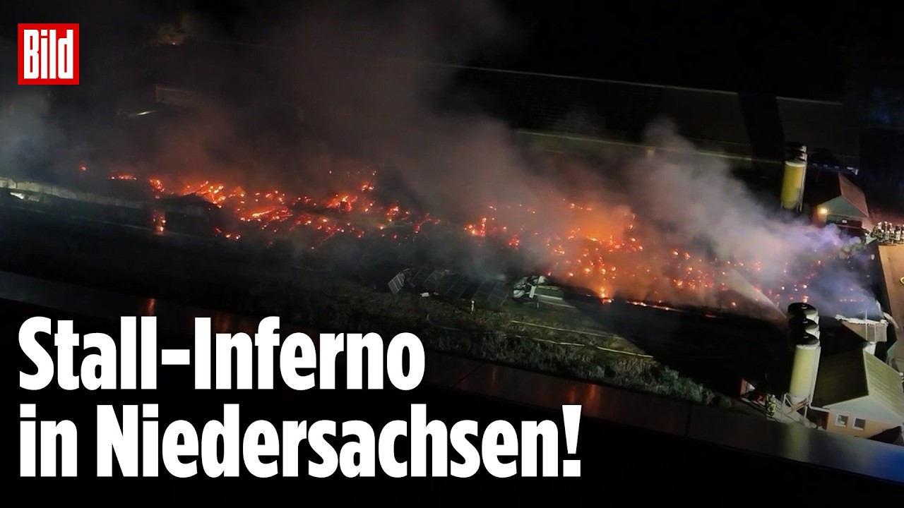 Stallbrand Wietmarschen – Feuerwehreinsatz bei einem Stallbrand in Wietmarschen, Niedersachsen – Einsatzkräfte bekämpfen die…