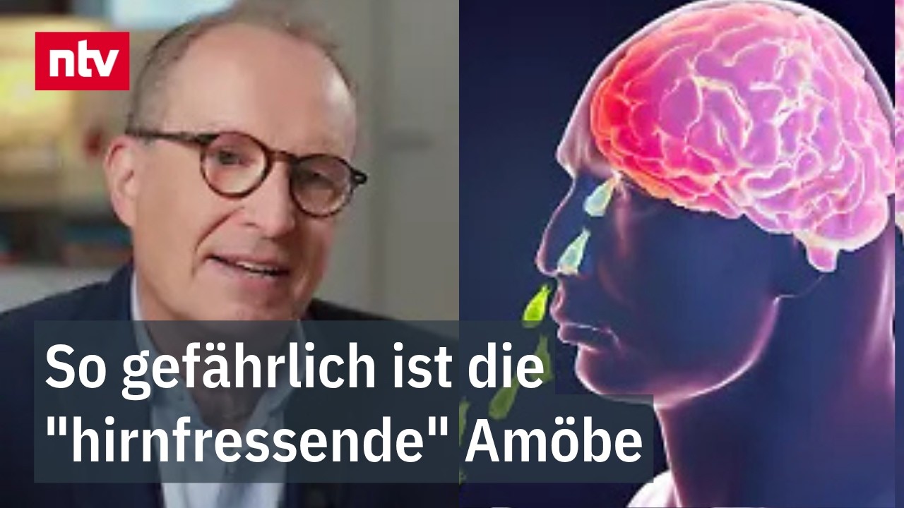 Naegleria fowleri unter dem Mikroskop – hirnfressende Amöbe in blauer Färbung vergrößert dargestellt