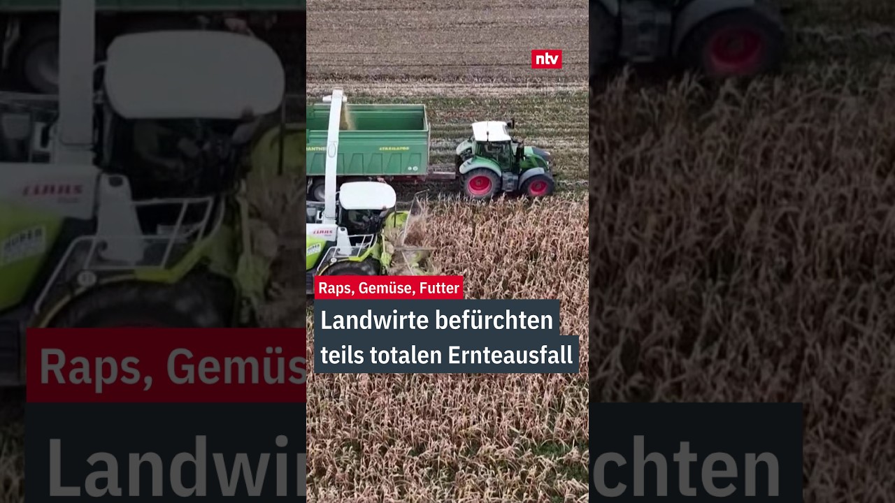 Vertrocknetes Getreidefeld in Deutschland im Sommer 2026 – Ernteausfall durch extreme Hitze