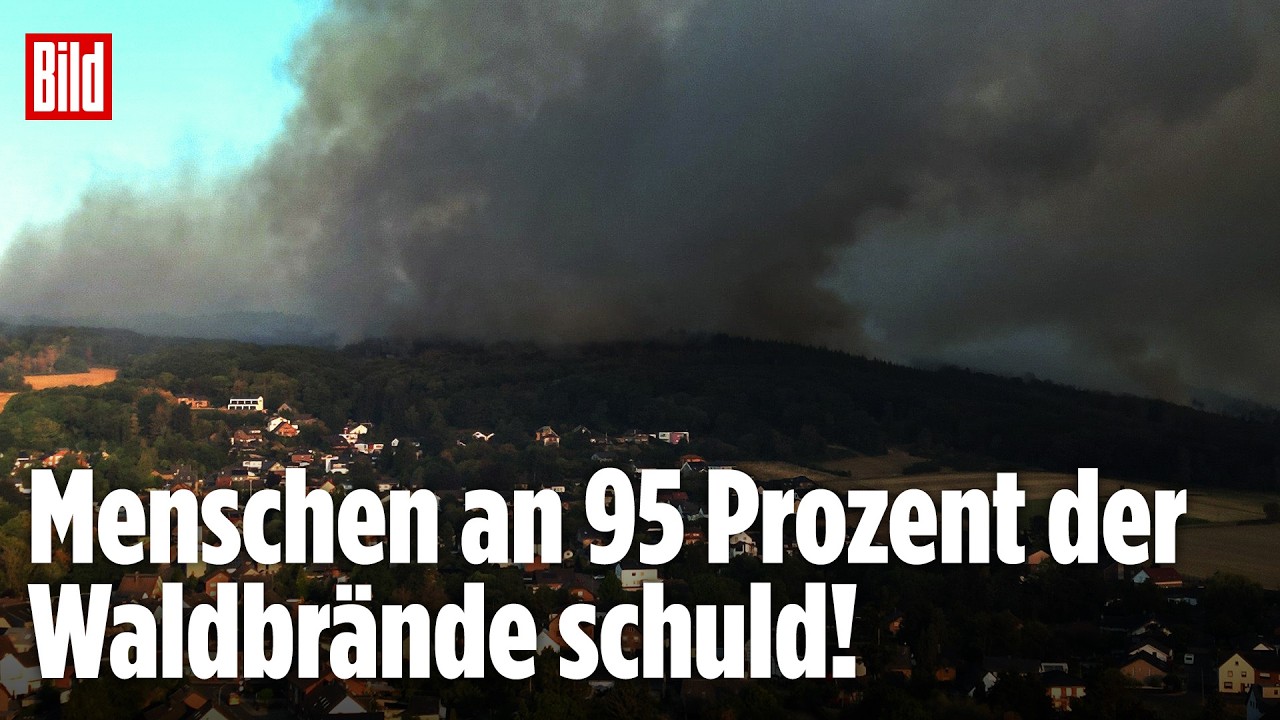 Waldbrand Hürtgenwald – Feuerwehrleute bekämpfen den Waldbrand im Hürtgenwald mit Löschfahrzeugen vor Flammenfront