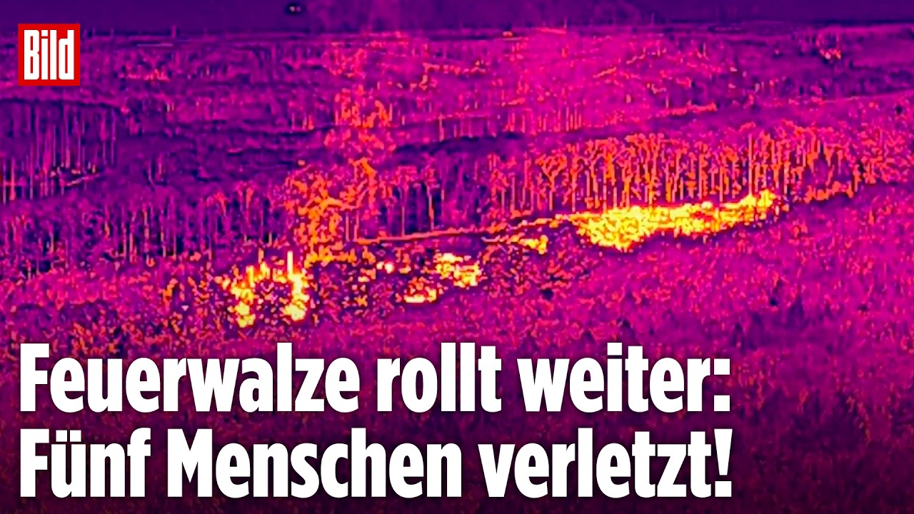 Löschhubschrauber über brennendem Wald beim Waldbrand Hürtgenwald in Nordrhein-Westfalen
