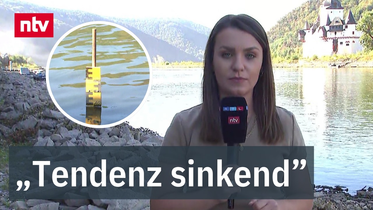 Niedrigwasser Rhein – Blick auf den Rhein bei Kaub mit extremem Niedrigwasser und sichtbarem Flussbett bei 9 cm Pegelstand