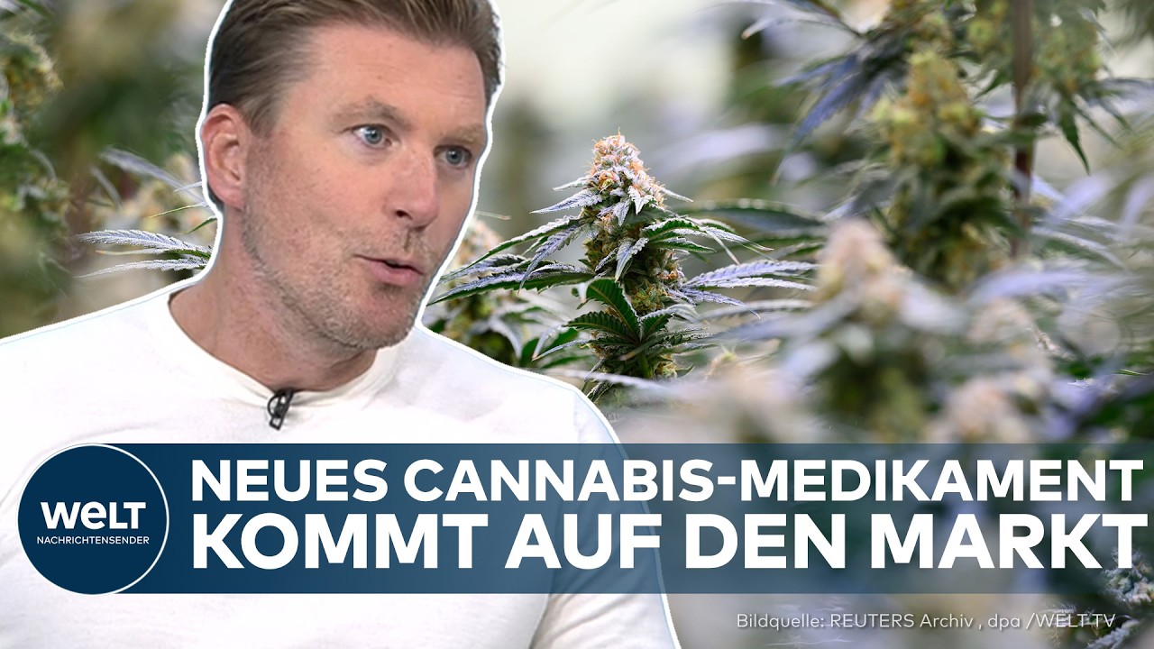 Cannabismedikament gegen Schmerzen – Packung des Cannabismedikaments Exilby auf einem Tisch – erstes verschreibungspflichtig…