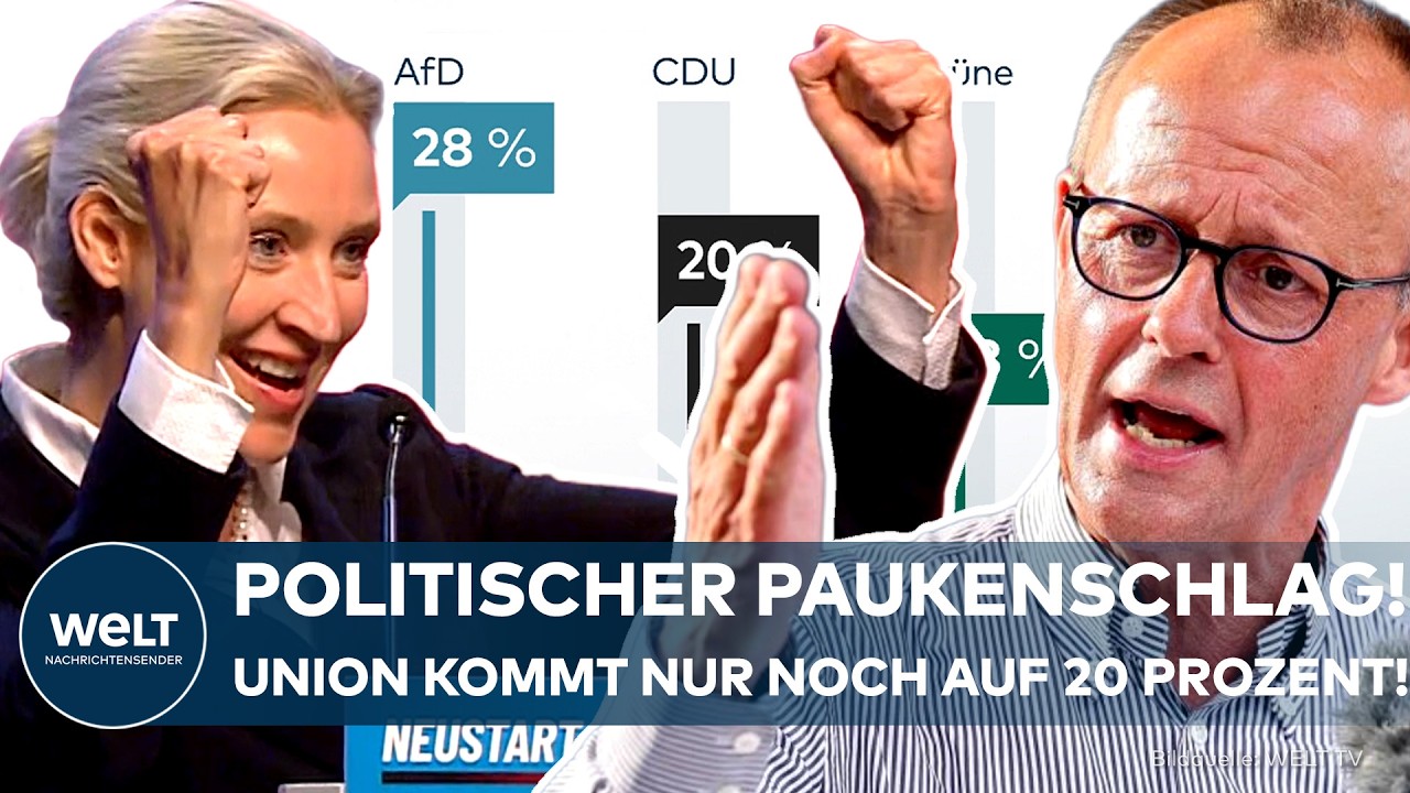 Balkendiagramm der INSA-Umfrage mit AfD an der Spitze vor CDU/CSU, Grünen, SPD und Linken