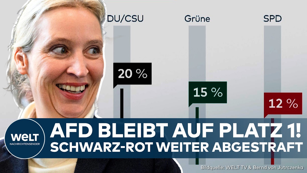 AfD stärkste Kraft – Wahlplakate verschiedener Parteien zur Bundestagswahl, AfD als stärkste Kraft laut Umfrage