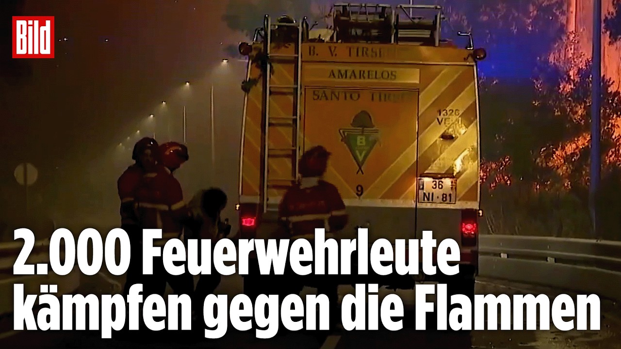 Waldbrand Portugal – Löschflugzeug wirft Wasser auf Waldbrand in Portugal – Flammen und Rauch über verkohlten Hängen