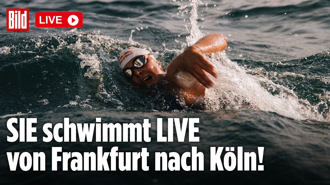Natalie Pol schwimmt mit gelber Sicherheitsboje im Rhein während der Rivers Challenge von Frankfurt nach Köln