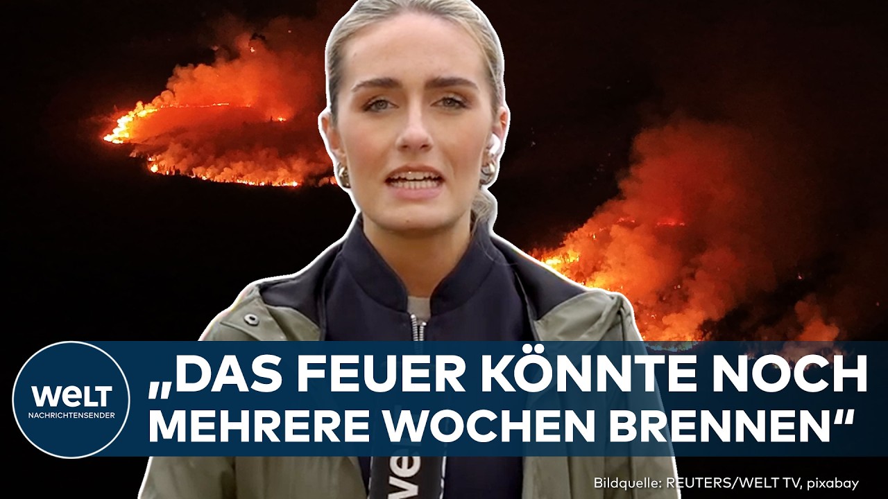 Waldbrand Hohes Venn – Feuerwehrleute bekämpfen den Waldbrand im Hohes Venn in Belgien mit Wasserschläuchen im Moorgelände