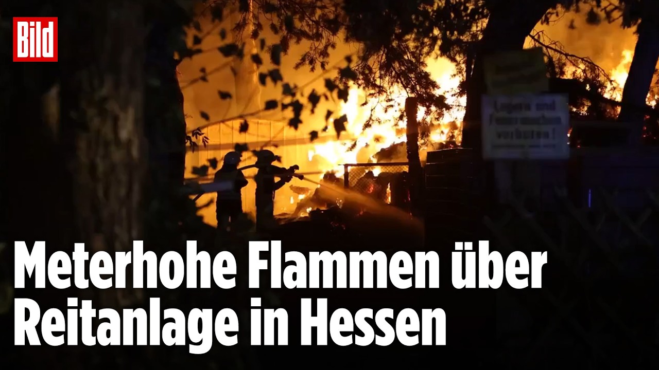 Großbrand Reitanlage Hessen – Großbrand einer Reitanlage in Hessen mit meterhohen Flammen und Feuerwehreinsatz im Kreis Offe…