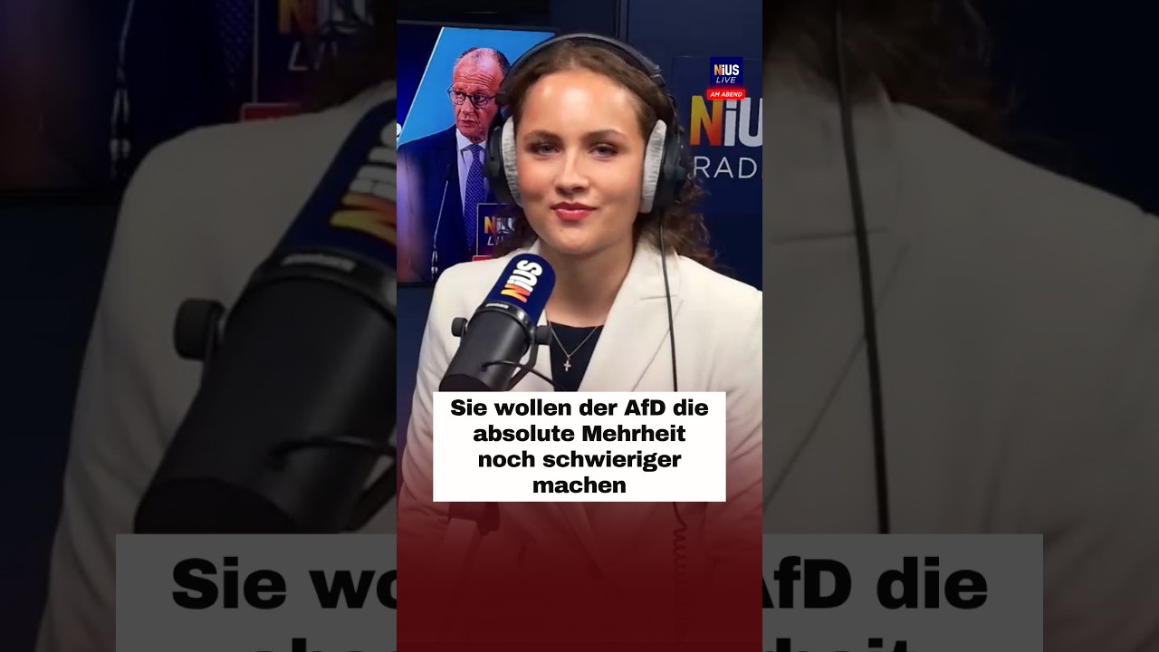 Wahlplakate und Flugblätter in Sachsen-Anhalt – Aktivisten werben für taktisch wählen gegen die AfD
