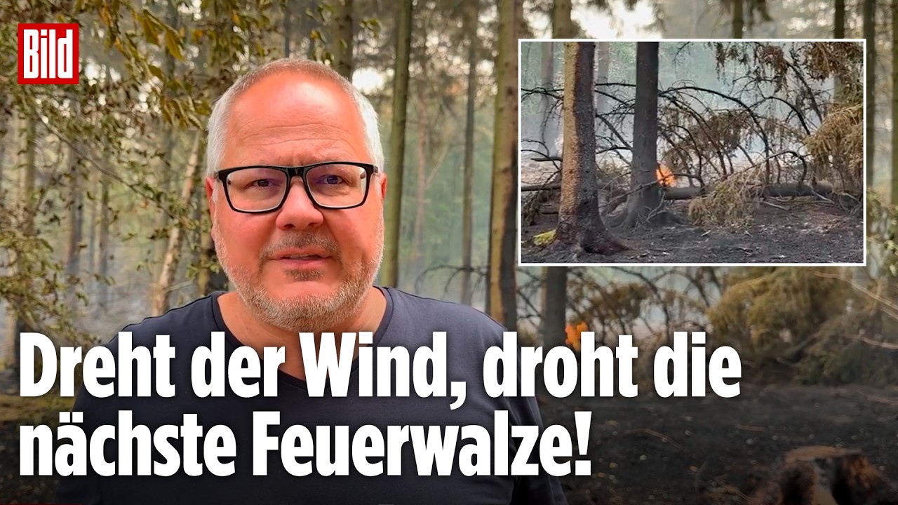 Feuerwehrleute bekämpfen den Waldbrand Hürtgenwald mit Löschschläuchen, Rauch steigt zwischen Bäumen auf