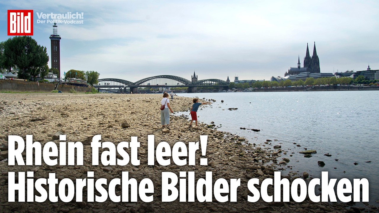 Niedrigwasser Rhein – Trockengefallenes Rheinbett mit Steinen und Sandbänken bei extremem Niedrigwasser im Sommer