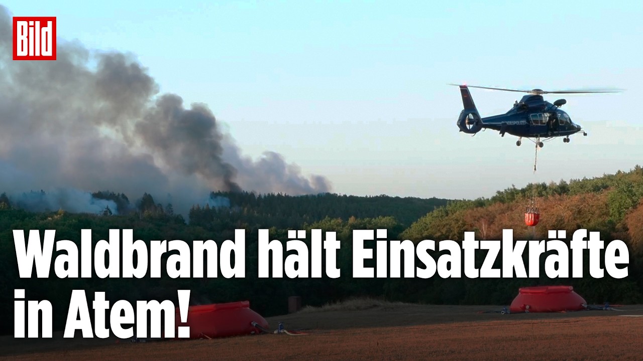 Waldbrand Hürtgenwald – Drohnenaufnahme des Waldbrands im Hürtgenwald mit riesigen Rauchwolken über 25 Hektar brennender Wal…