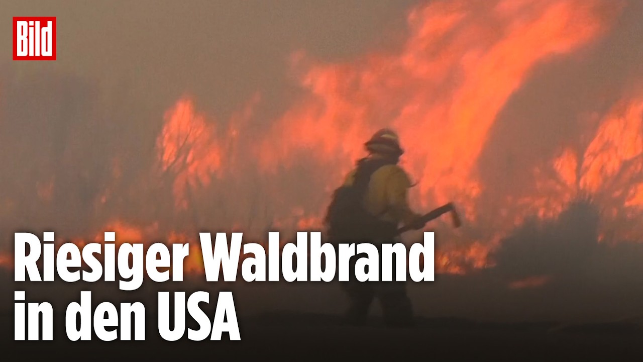 Waldbrand Nevada – Riesige Flammen des Waldbrands in Nevada bei Nacht, 50 km vor der Stadt Reno