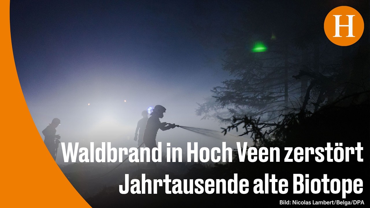 Rauchschwaden über verbranntem Wald im deutsch-belgischen Grenzgebiet – Waldbrand Eifel vernichtet seltene Hochmoorflächen
