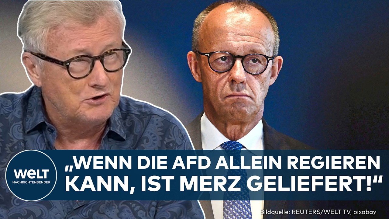 Friedrich Merz und AfD-Plakate zur Landtagswahl in Sachsen-Anhalt – AfD Sachsen-Anhalt auf dem Vormarsch