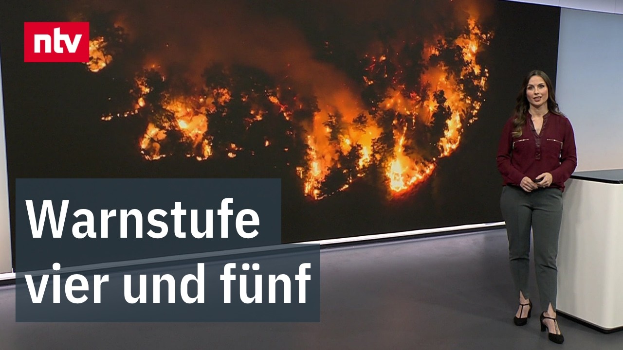 Rauch steigt über einem Kiefernwald auf – hohe Waldbrandgefahr in Deutschland im Sommer 2026