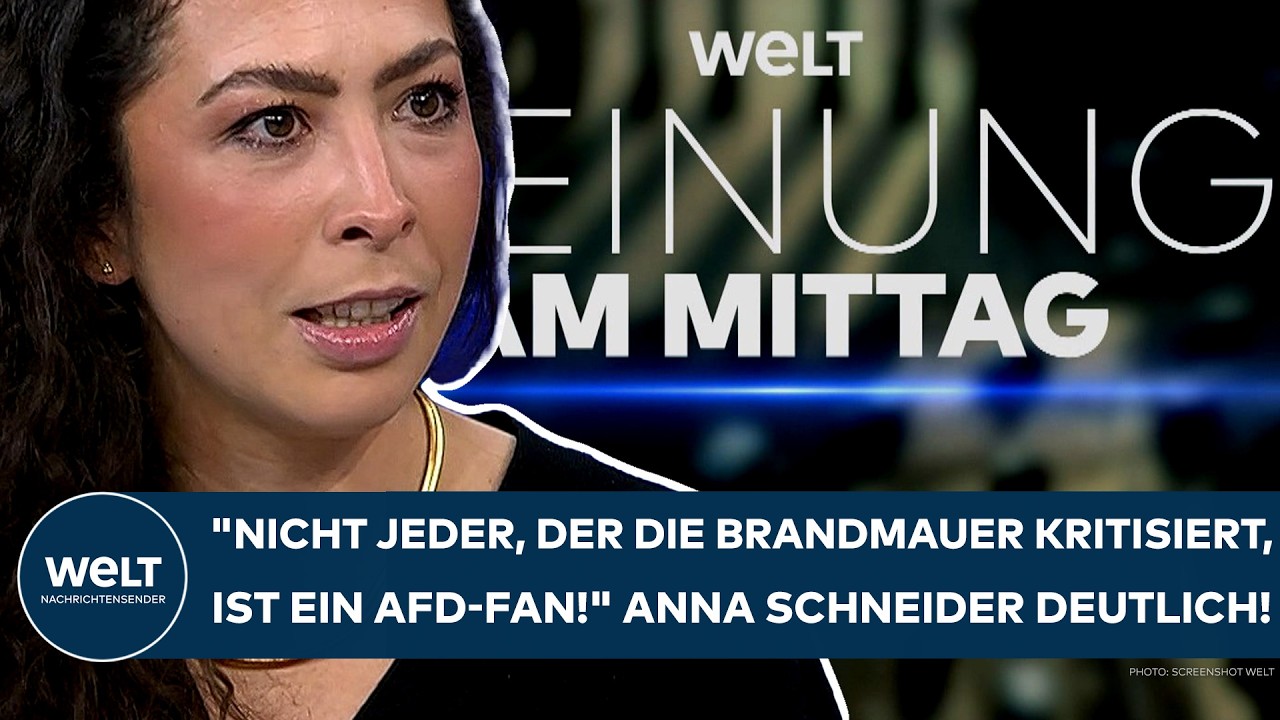 Brandmauer Debatte – Politische Diskussion zur Brandmauer-Debatte in Deutschland – Schild mit AfD-Logo im Hintergrund