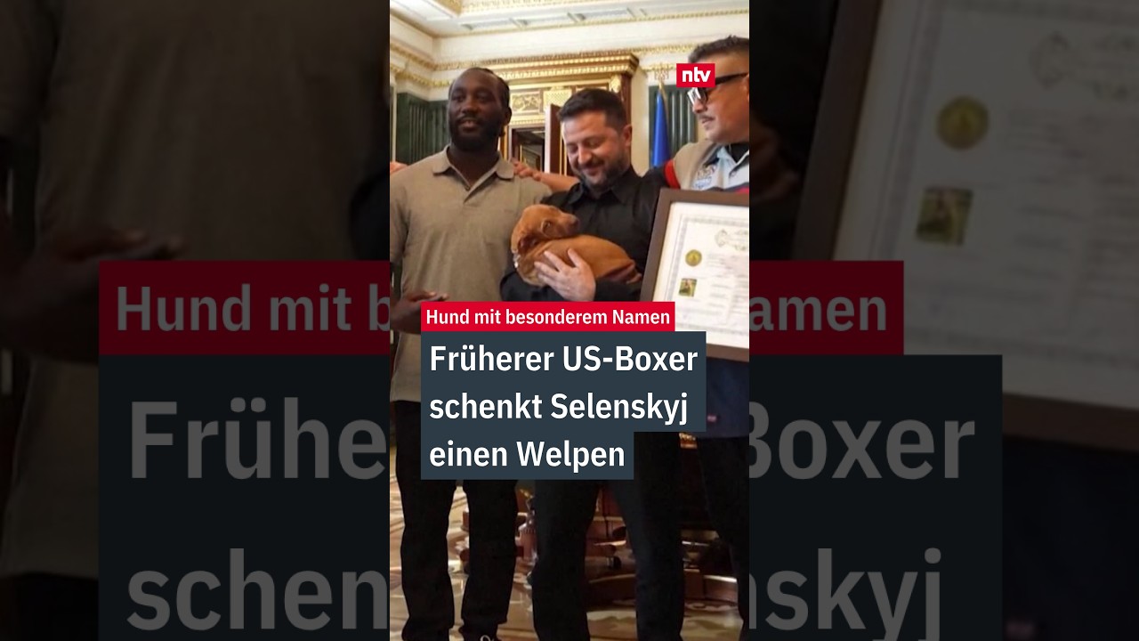 Terence Crawford Selenskyj – US-Boxlegende Terence Crawford überreicht Selenskyj einen Pitbull-Terrier-Welpen namens Freier …