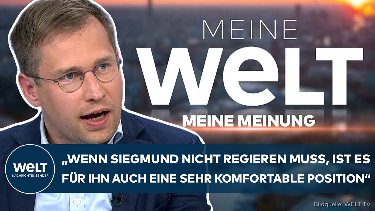Wahl Sachsen-Anhalt – Wahlplakate zur Wahl in Sachsen-Anhalt mit AfD-Spitzenkandidat Siegmund im Hintergrund einer Stadtkuli…