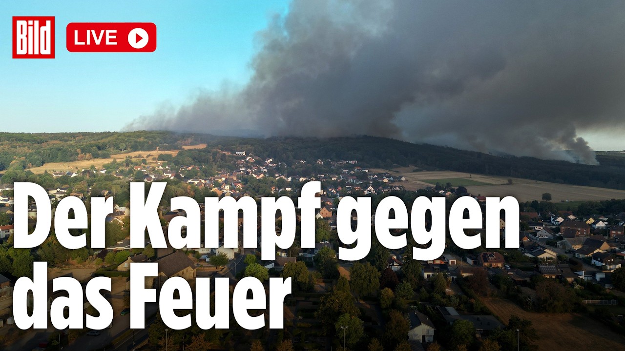 Waldbrand Hürtgenwald – Feuerwehrleute bekämpfen den Waldbrand im Hürtgenwald in NRW mit Löschfahrzeugen und Schläuchen