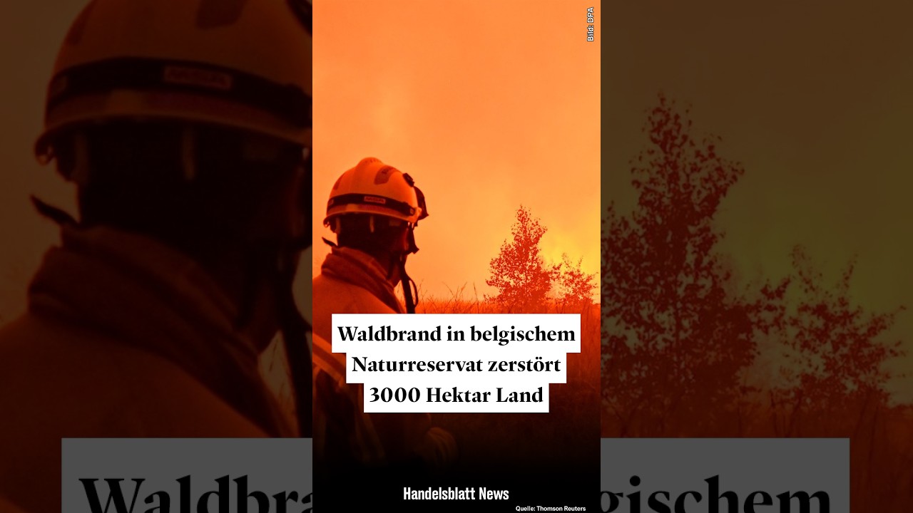 Waldbrand Belgien – Feuerwehrleute bekämpfen den Waldbrand im Naturreservat Hohes Venn in Belgien mit Löschfahrzeugen