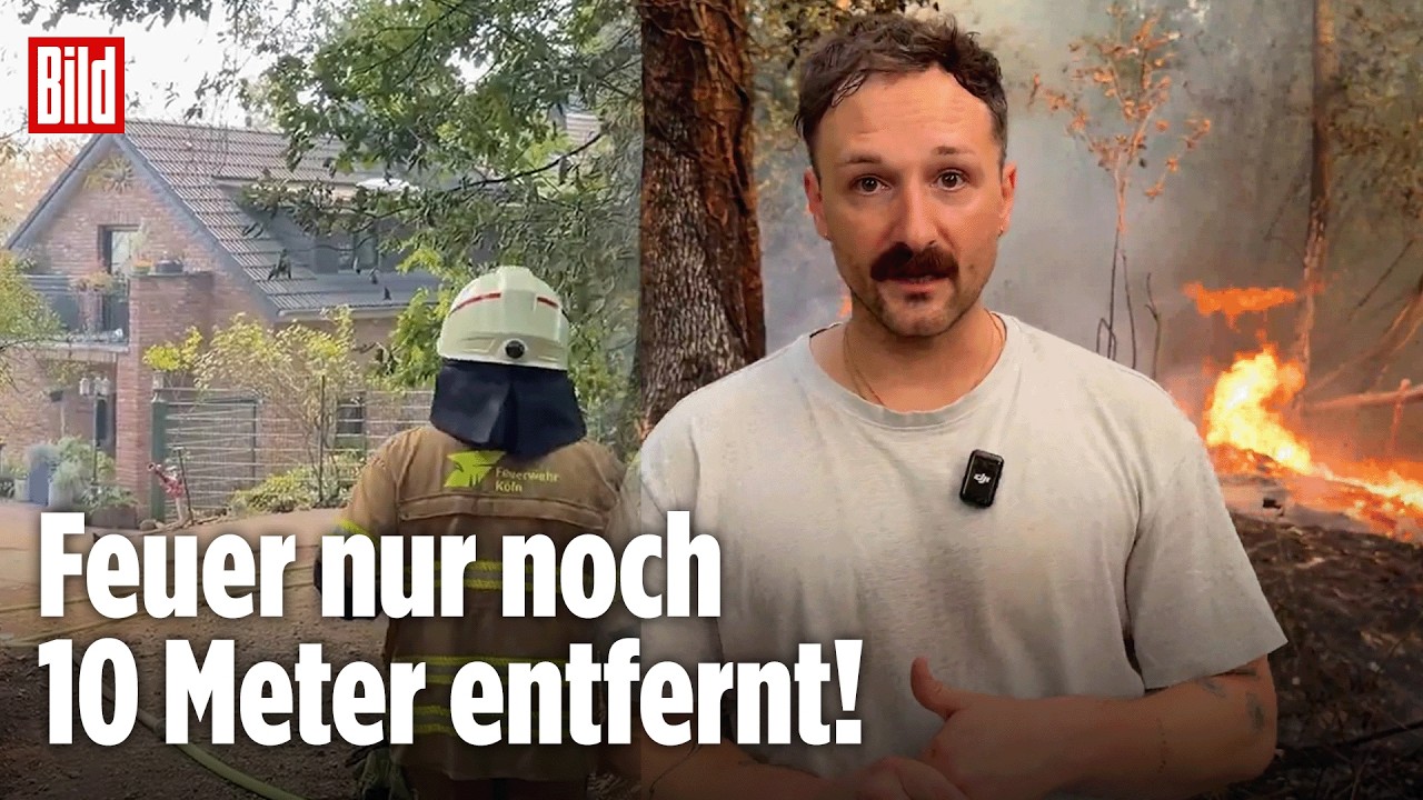 Feuerwehrleute bekämpfen den Waldbrand Hürtgenwald, Flammen nahe Wohnhäuser in Gey, NRW