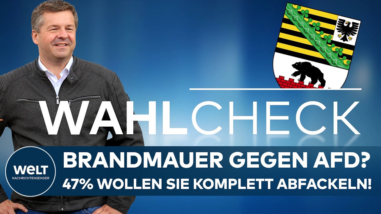 Wahlplakate zur Landtagswahl Sachsen-Anhalt mit AfD- und CDU-Logos, Symbolbild Brandmauer-Debatte