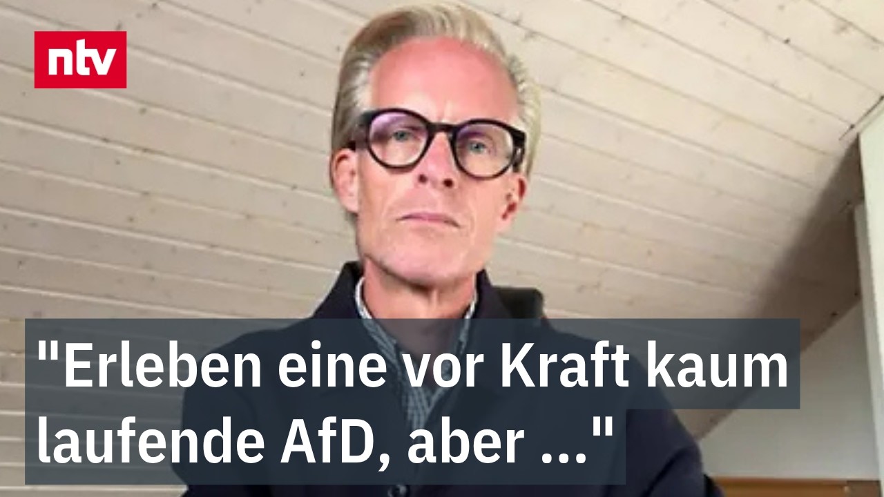 Politikwissenschaftler analysiert AfD Sachsen-Anhalt Landtagswahl – Wahlplakate in Magdeburg