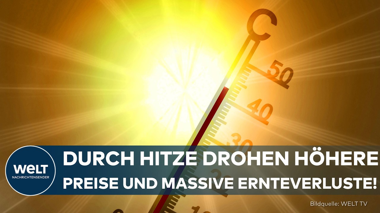 Hitze Spritpreise – Trockenes Getreidefeld in Deutschland im Sommer 2026 – Hitze und Spritpreise belasten Verbraucher