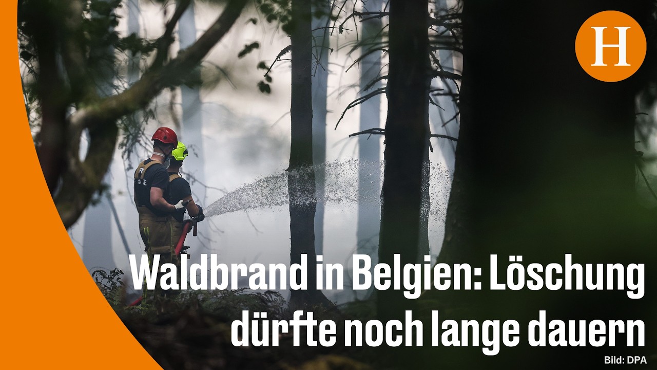 Löschhubschrauber über brennendem Moor beim Waldbrand Belgien im Naturreservat Hohes Venn