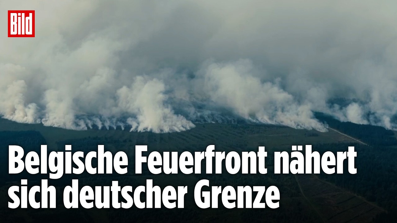 Waldbrand Hohes Venn – Drohnenaufnahme des Waldbrands im Hohes Venn mit riesiger Rauchsäule nahe der deutschen Grenze