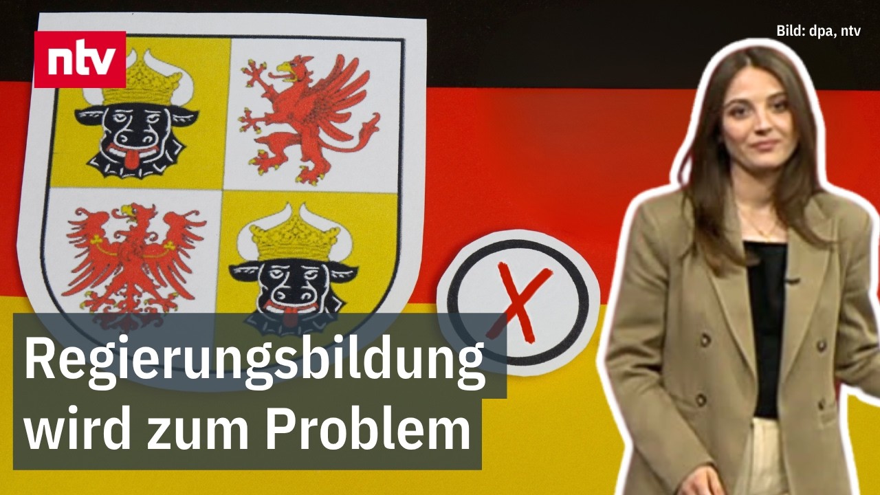 Wahlplakate zur Landtagswahl Mecklenburg-Vorpommern mit Symbolen von AfD und SPD im Vergleich