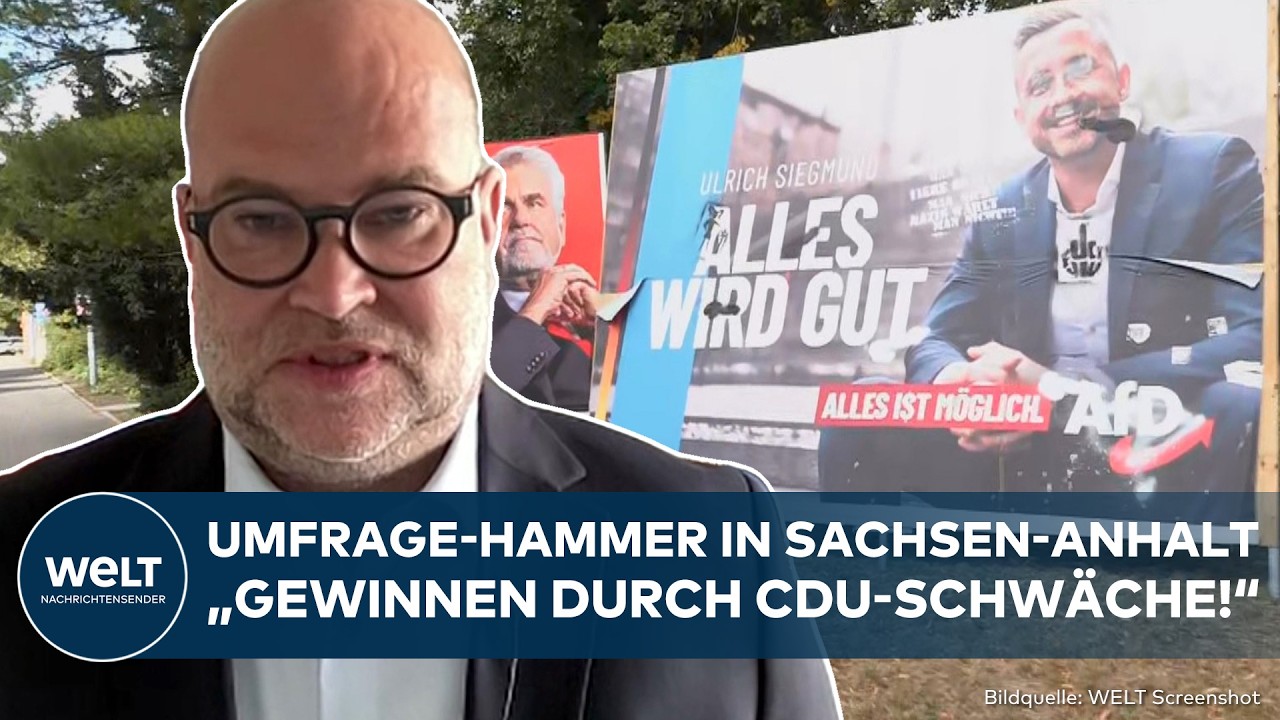AfD-Wahlplakat in Sachsen-Anhalt vor der Landtagswahl – AfD Sachsen-Anhalt strebt absolute Mehrheit an