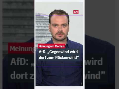 Protestschild gegen die AfD bei einer Kundgebung – Kampagne gegen AfD mit prominenter Unterstützung