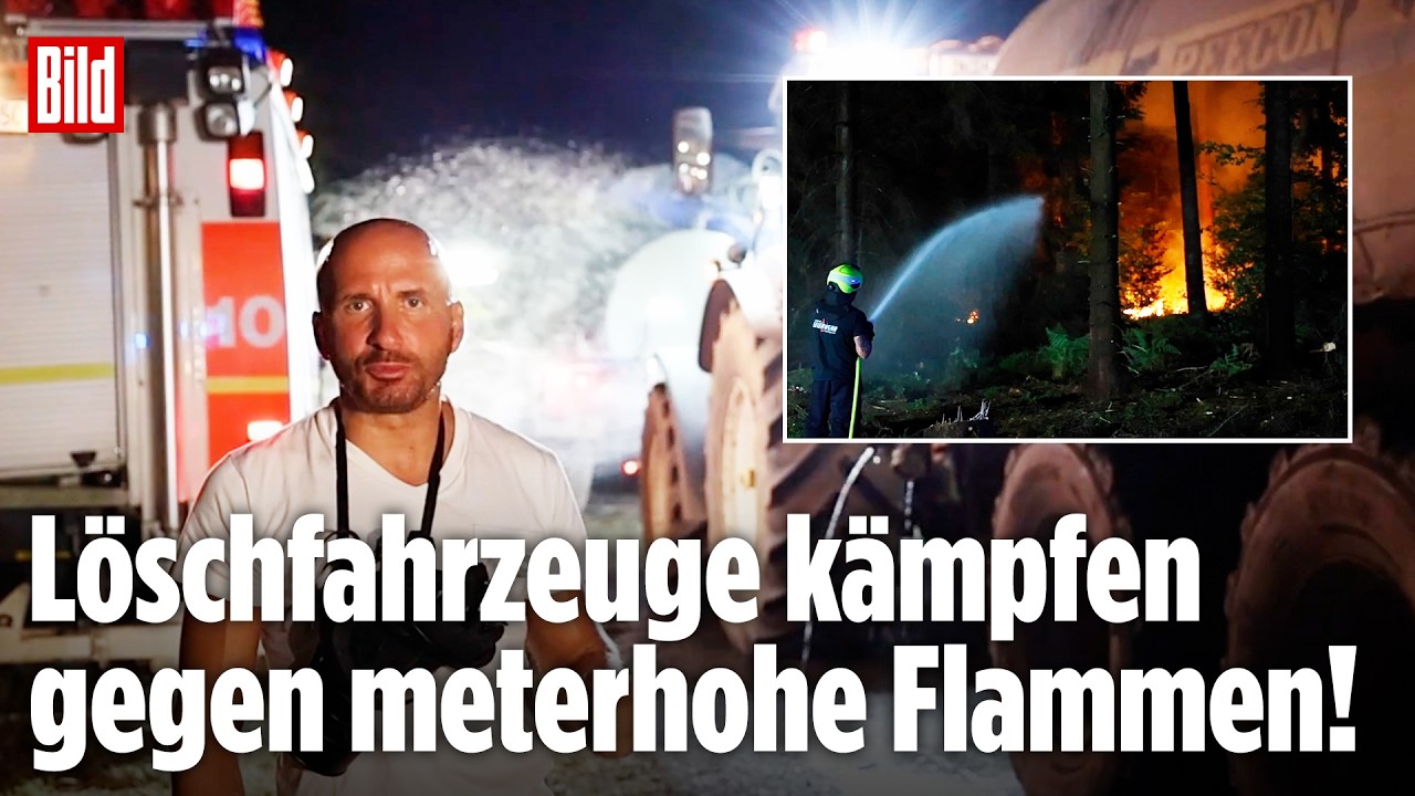 Feuerwehrleute bekämpfen einen Waldbrand NRW, Flammen schlagen meterhoch in den nächtlichen Himmel