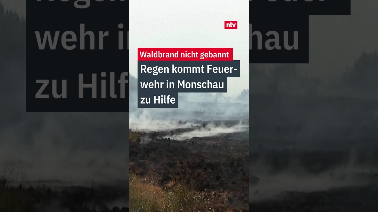 Feuerwehrleute bekämpfen den Waldbrand Monschau im Hohen Venn, im Hintergrund aufsteigender Rauch